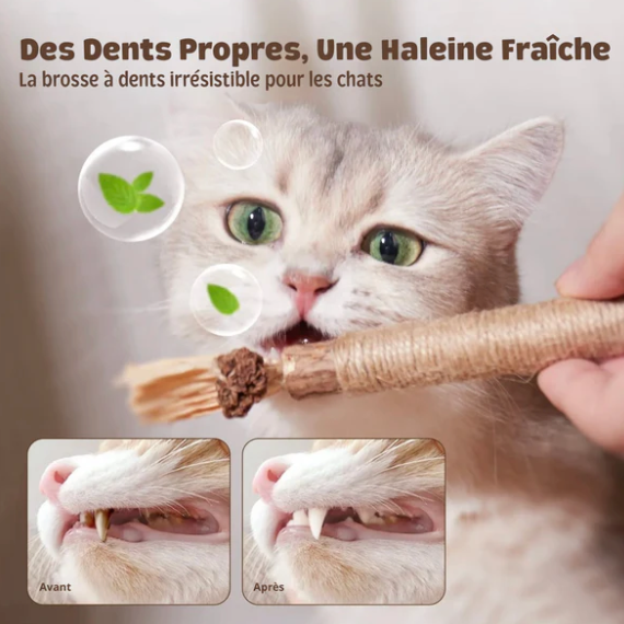 Purek™ – Bâtonnets dentaires naturels pour chats