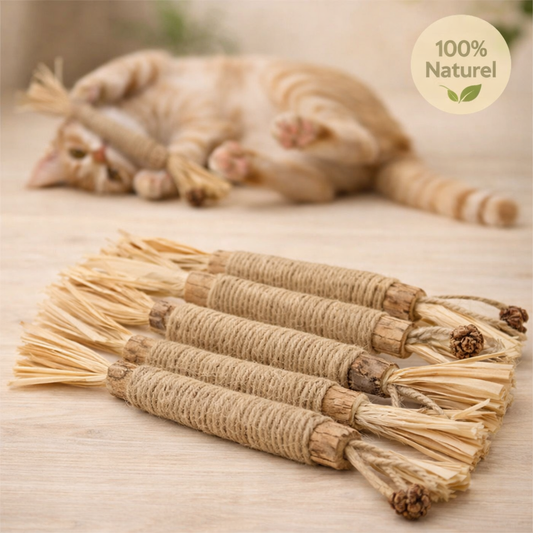 Purek™ – Bâtonnets dentaires naturels pour chats