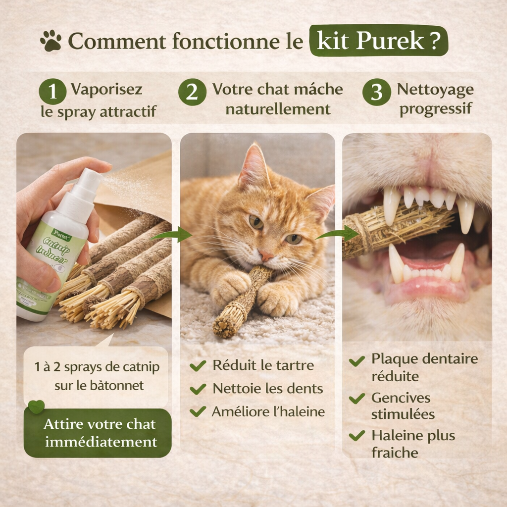 Purek™ – Kit dentaire naturel pour chat
